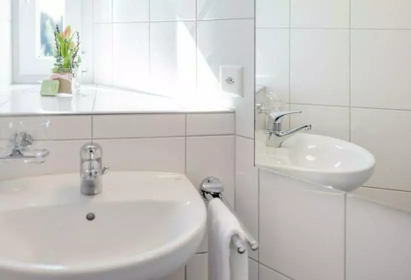 Standard Kolmen Hengen Huone, Allegro Einsiedeln