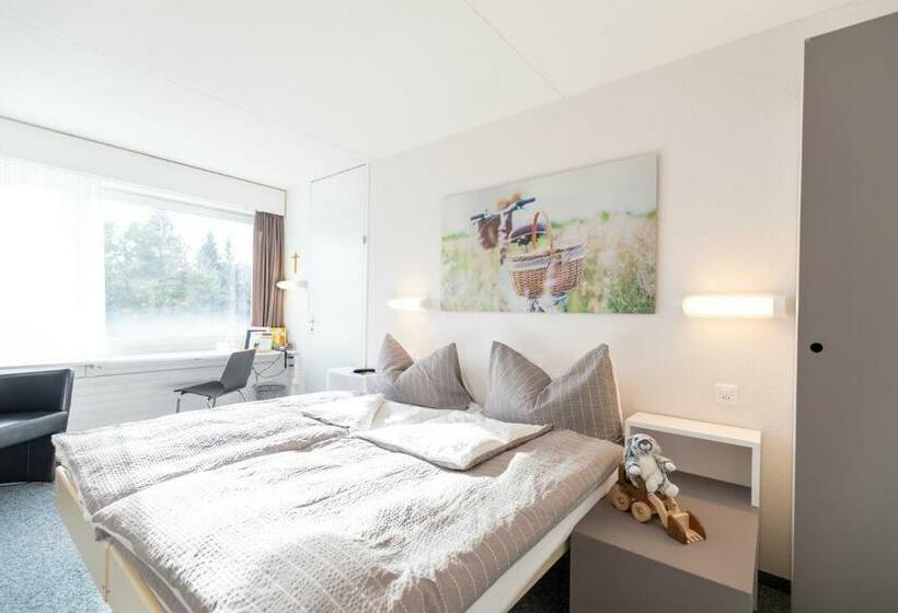 غرفة قياسية ثلاثية, Allegro Einsiedeln