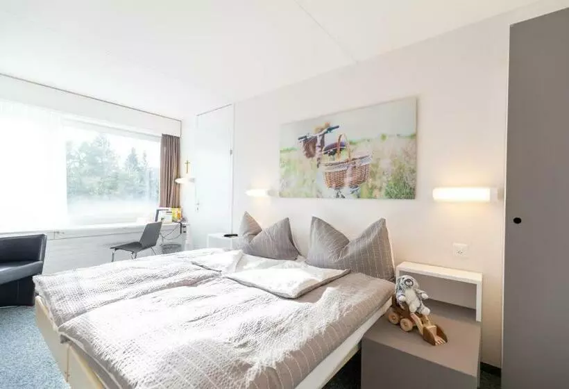 Standard Kolmen Hengen Huone, Allegro Einsiedeln