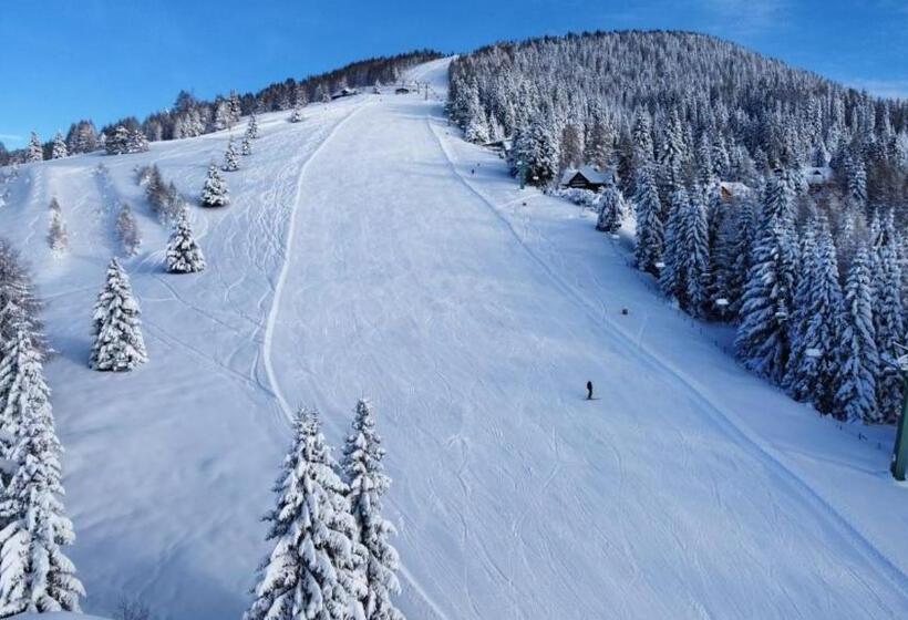 اتاق استاندارد, Alpenrose Gerlitzen