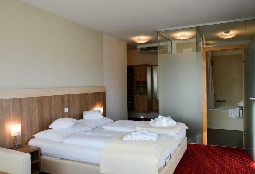غرفة ديلوكس مزودة بشرفة, Römerhof