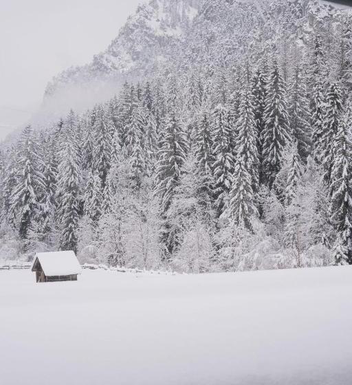 Номер Стандарт Трехместный, Frühstückspension Auer Haus Kargl