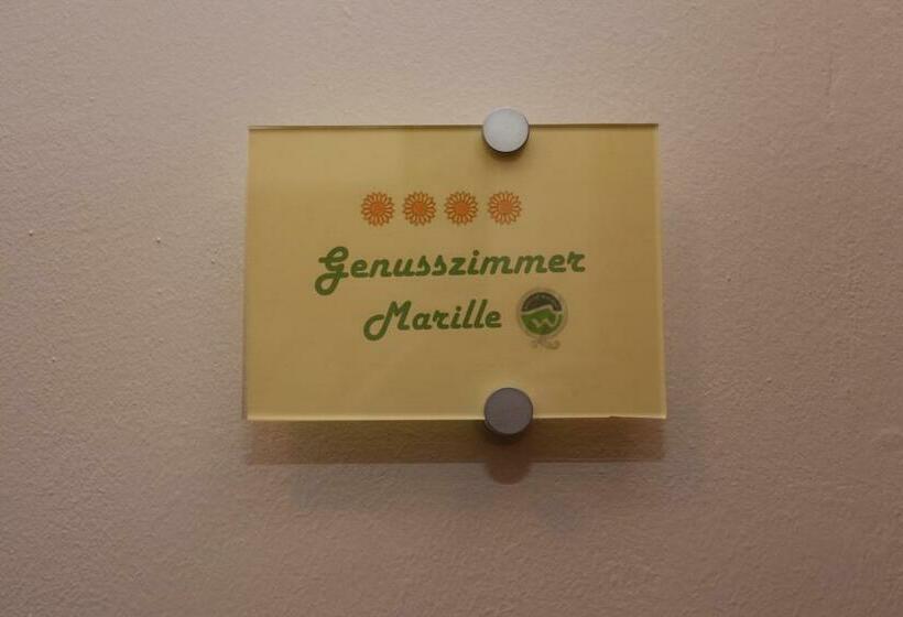 اتاق راحتی, Gästehaus Weinbergblick