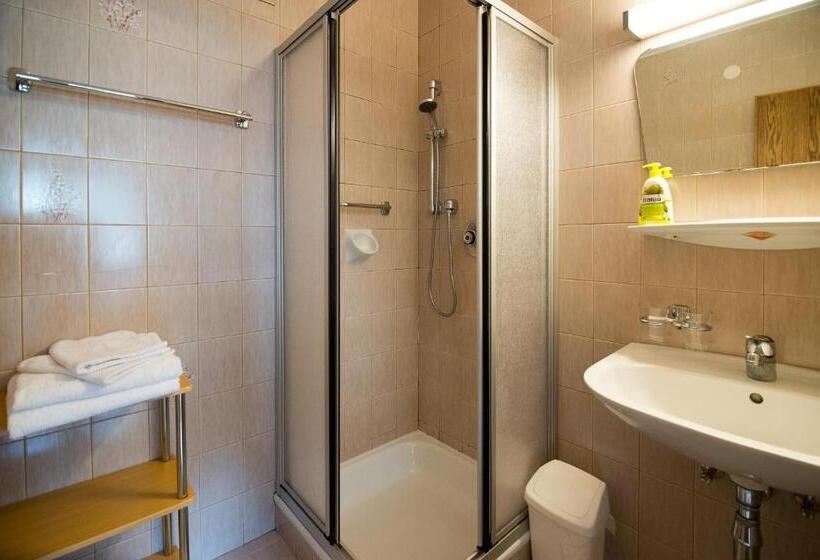 バルコニー付き1ベッドルームアパートメント, Haus Brandeck