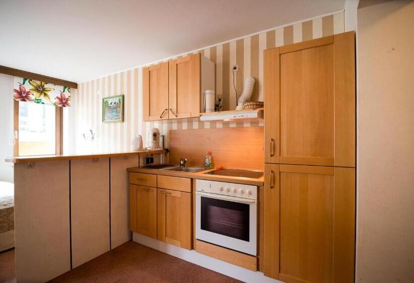 バルコニー付き1ベッドルームアパートメント, Haus Brandeck