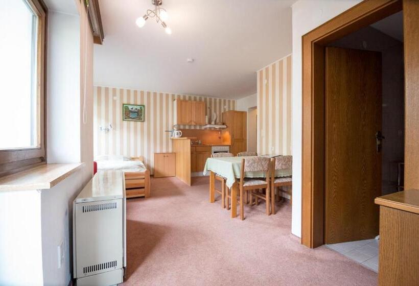 バルコニー付き1ベッドルームアパートメント, Haus Brandeck