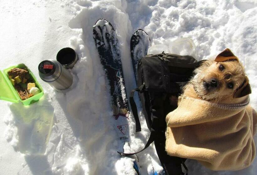 带1个卧室的带阳台的公寓, Klampererhof