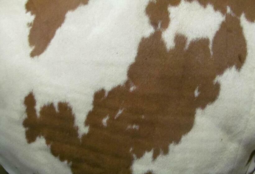 带1个卧室的带阳台的公寓, Klampererhof