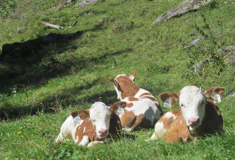 带1个卧室的带阳台的公寓, Klampererhof