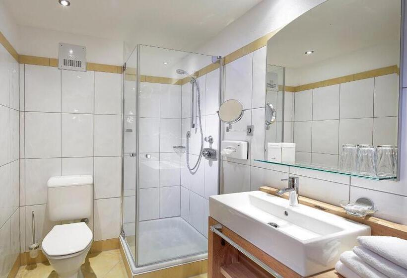 标准间, My Alpenwelt Resort