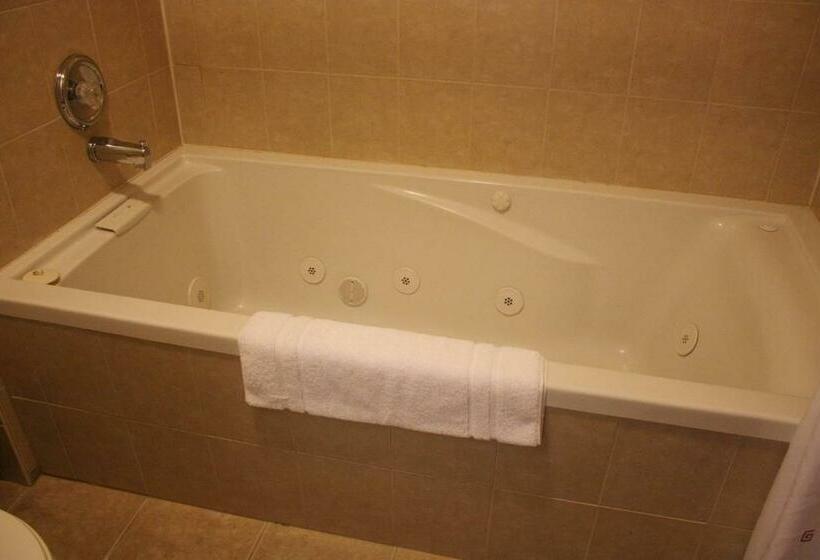 غرفة قياسية سرير كينج, Relax Inn Chehalis