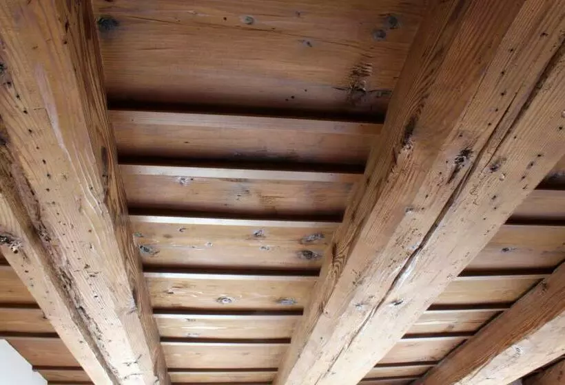Chambre Standard, Roter Ochsen