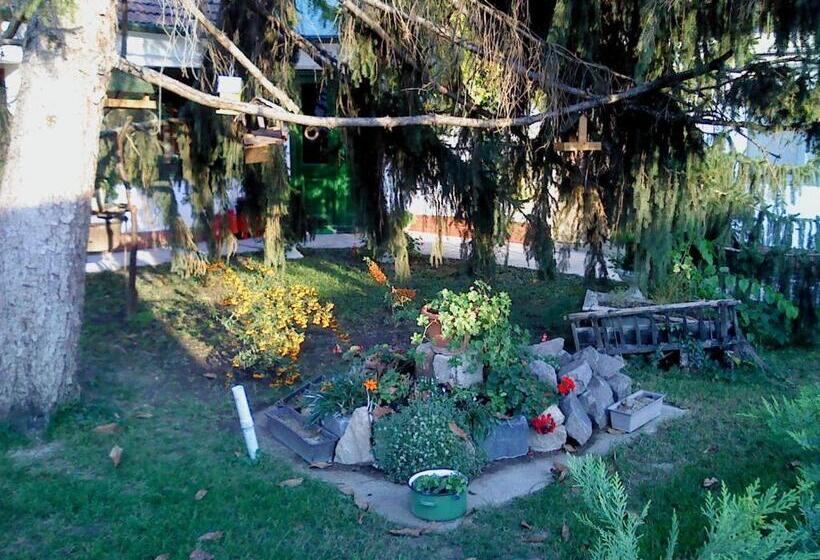 غرفة قياسية رباعية, Vali Vendégház