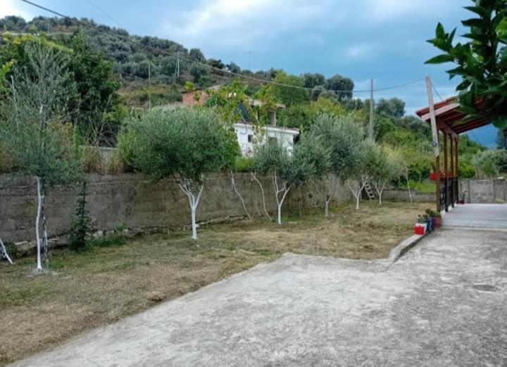 اتاق استاندارد, Guest House Irvin