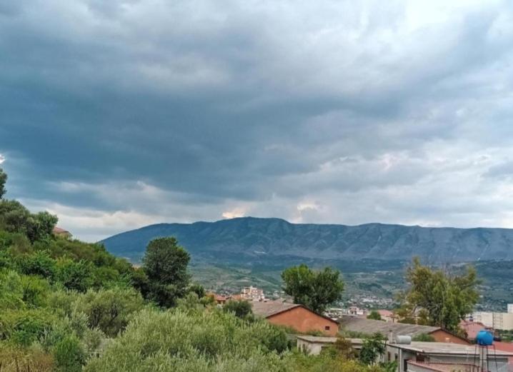 اتاق استاندارد, Guest House Irvin