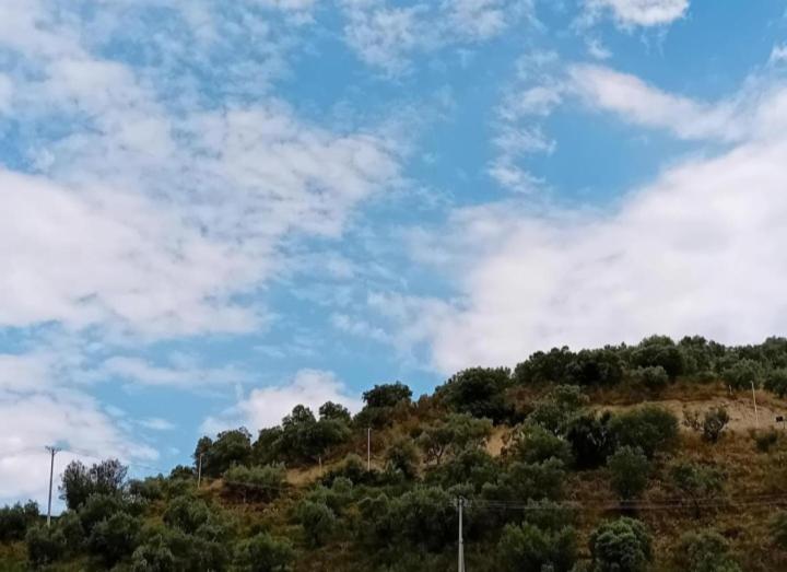 اتاق لوکس, Guest House Irvin