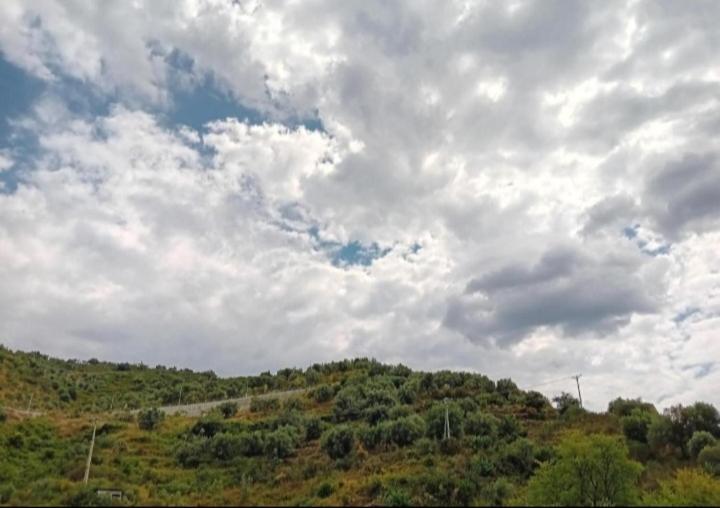 اتاق لوکس, Guest House Irvin