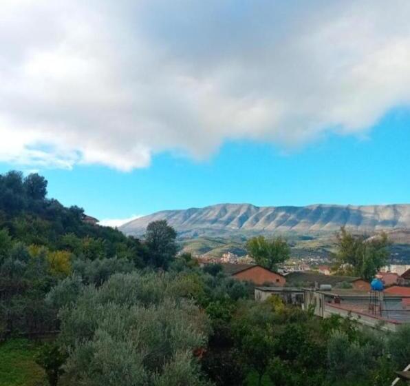 اتاق کلاسیک سه تخته, Guest House Irvin