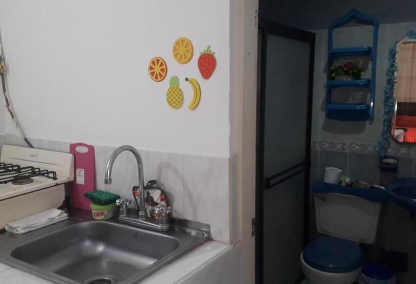 استودیوی لوکس, Apartamentos Y Estudios Manga Real