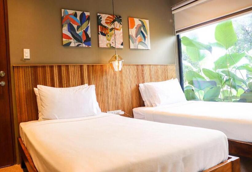 חדר משפחתי, Cala Laiya