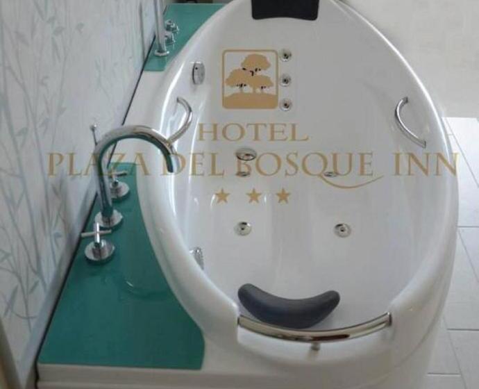 Студия Стандарт, Plaza Del Bosque Inn