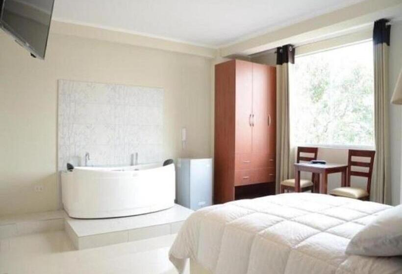 Студия Стандарт, Plaza Del Bosque Inn