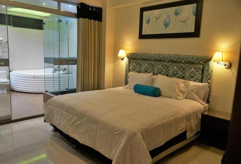 Студия Стандарт, Plaza Del Bosque Inn