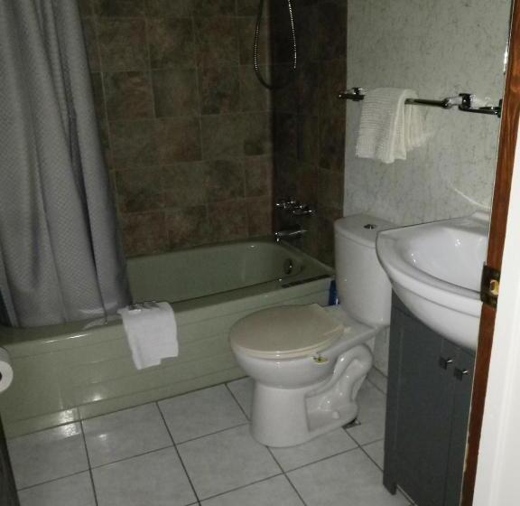 デラックスルーム, Nipigon Travelers Motel