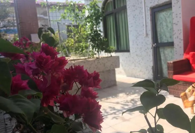 スタンダードルーム, March Garden Next To The Furniture Market