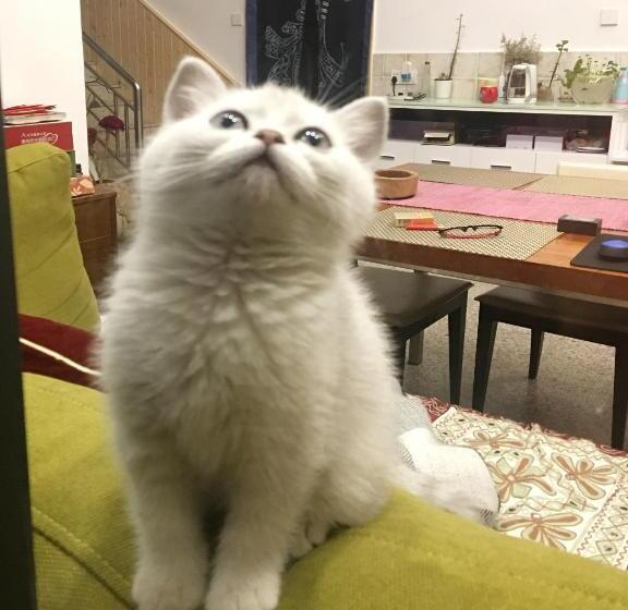 스탠다드 룸, March Garden Next To The Furniture Market