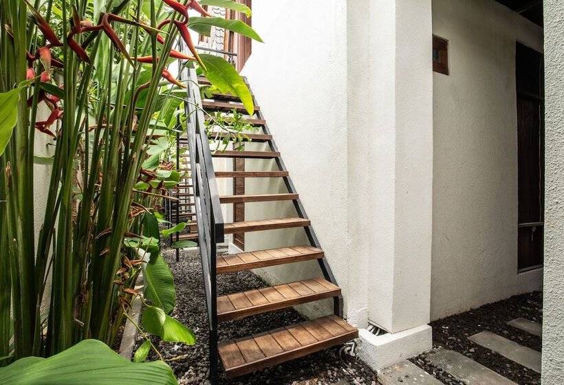 חדר דלוקס, Dadeka Canggu