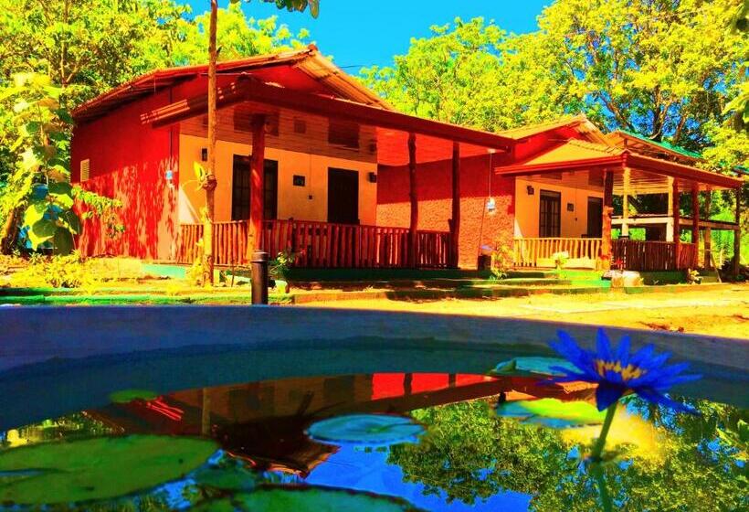 اتاق استاندارد با بالکن, Elephants Safari Cottages