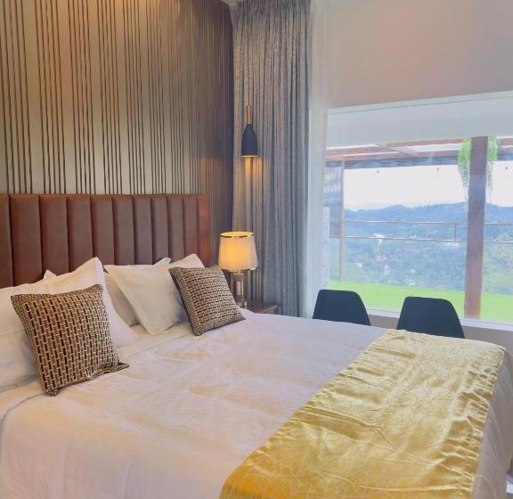 수피리어 룸, Misty Wonders