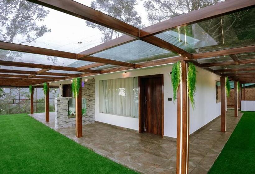 수피리어 룸, Misty Wonders