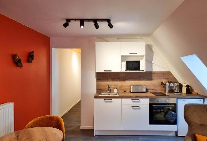 带1个卧室的公寓, Travel Homes   Rapp, Charm In The Heart Of Colmar