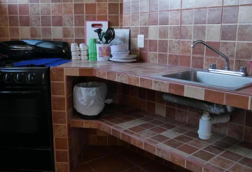 إستديو عائلى, Bungalows Dubai De Miramar