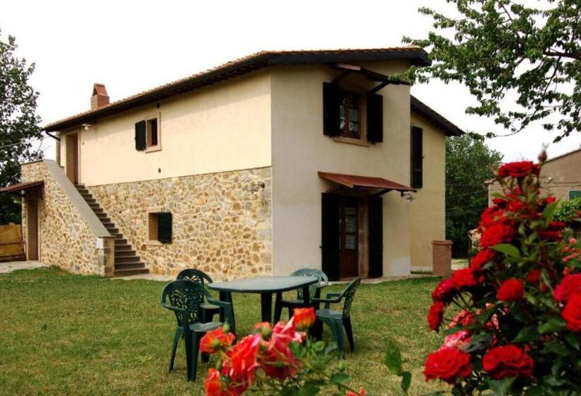 דירת חדר, Edera