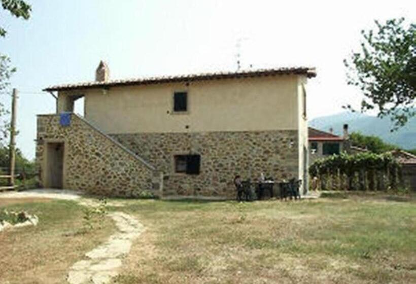 דירת חדר, Edera