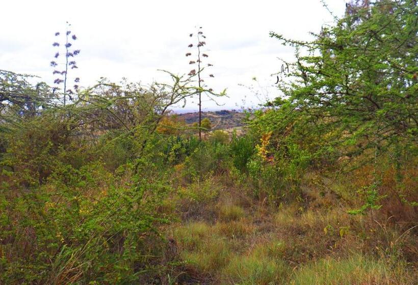 اتاق استاندارد با بالکن, Saba Holiday Homes