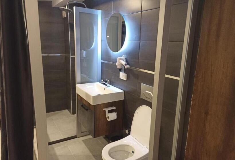 غرفة قياسية, Womco Butik Otel