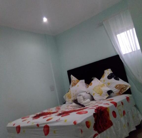 شقة غرفة واحدة, Home Stay Accommodation