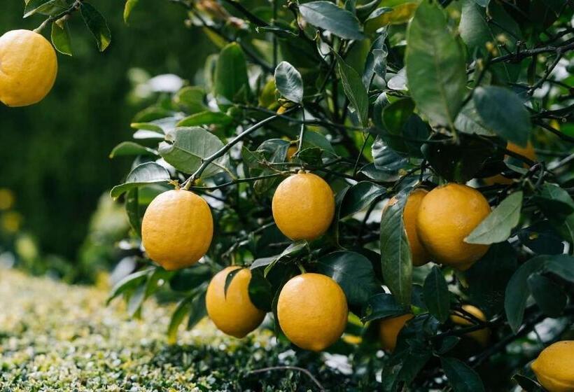 בית, חדר שינה 1, Aubisque, Exeter