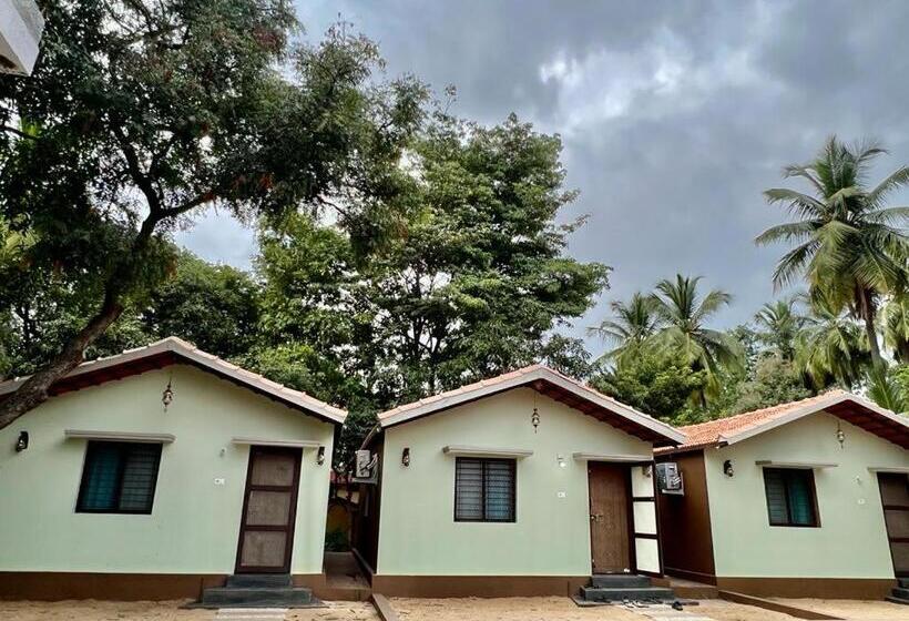 Standard Szoba, Leo Comforts River Side Resort