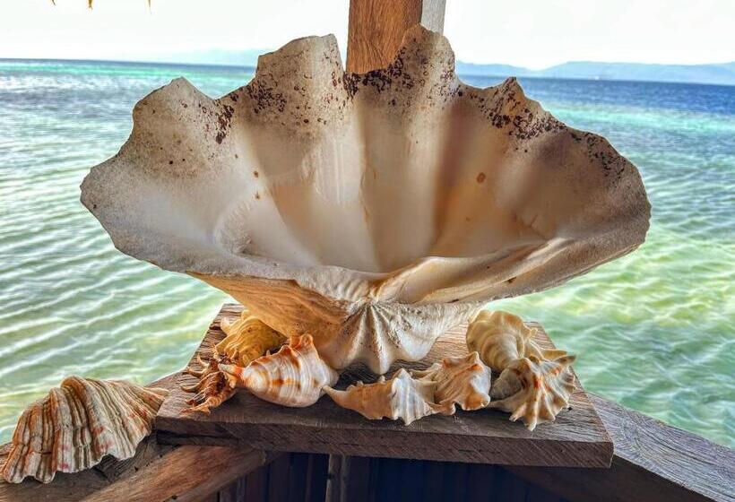 اتاق استاندارد, Tamaku House Reef Raja Ampat