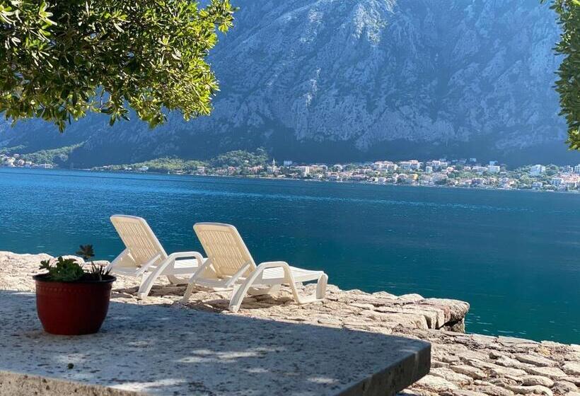 اتاق اکونومی, Villaoldmariner