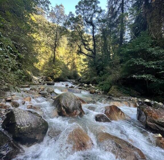 Номер Стандарт Вид на Горы, The Great Escape   A Jibhi Paradise
