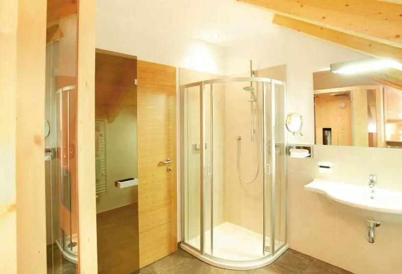 آپارتمان 1 خوابه, Apart Hotel Alpinsonnenresidenz