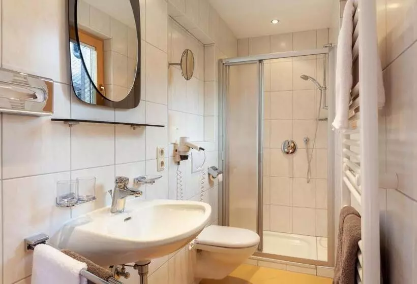 اتاق استاندارد, Apart Hotel Alpinsonnenresidenz