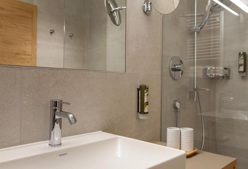 ビュー有りのスタンダードワンルーム, Apart Hotel Dreisonnenhof