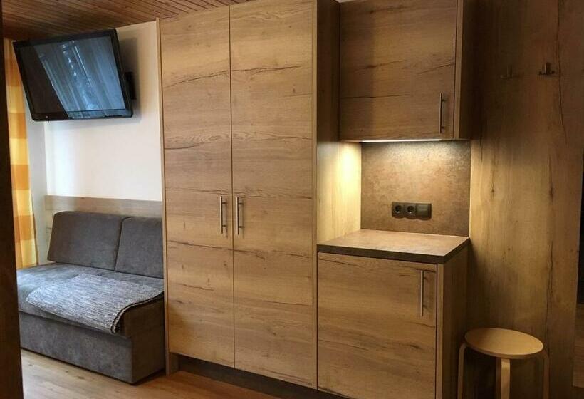 إستوديو قياسى مزودة بتراس, Haus Kirschner